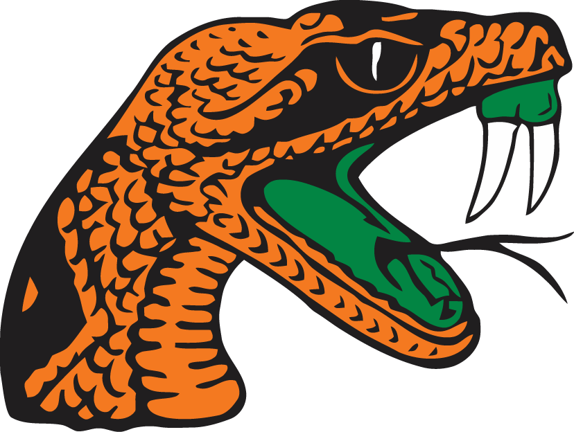 Florida A&M Rattlers 2001-Pres Secondary Logo t shirts DIY iron ons